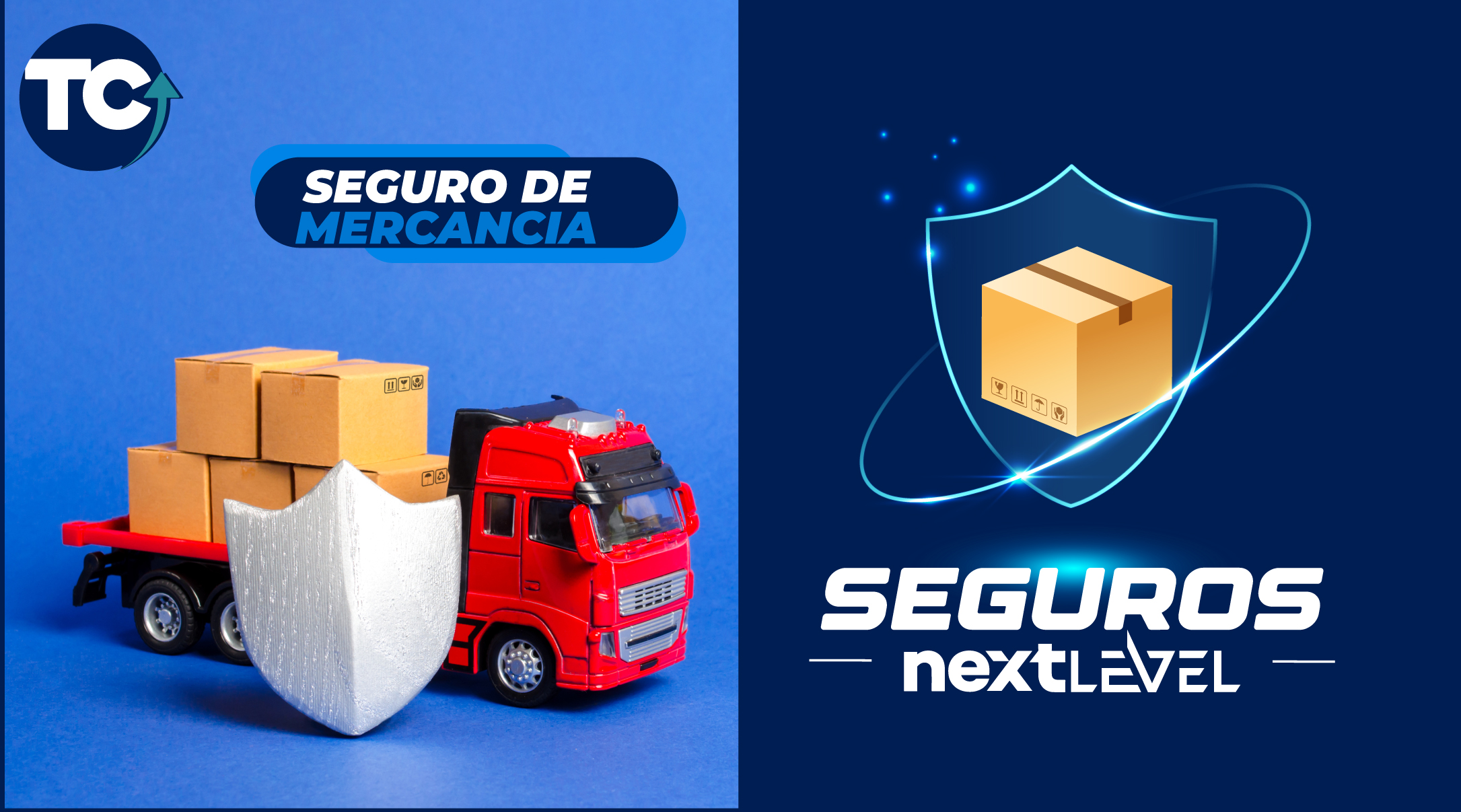 seguro de mercancia